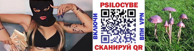 Купить где  Губкин  Галлюциногенные грибы мухоморы 